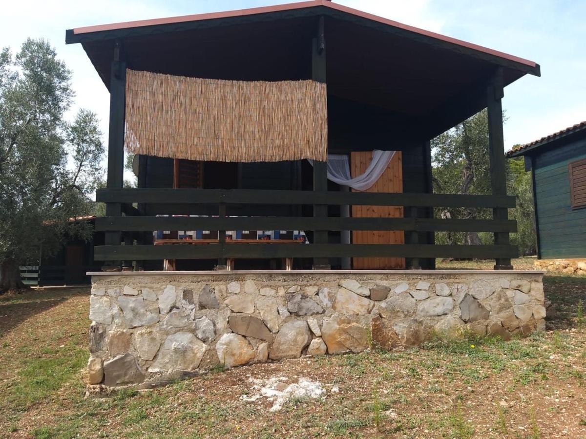 Agriturismo Della Torre 佩斯基奇 外观 照片